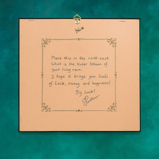 Hanumana Pyrite-Selenite 3D Plate (Complimentary wooden frame)