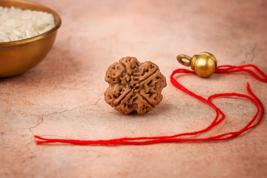 Divine Intellect Rudraksha – Original 4 Mukhi Bead from Nepal