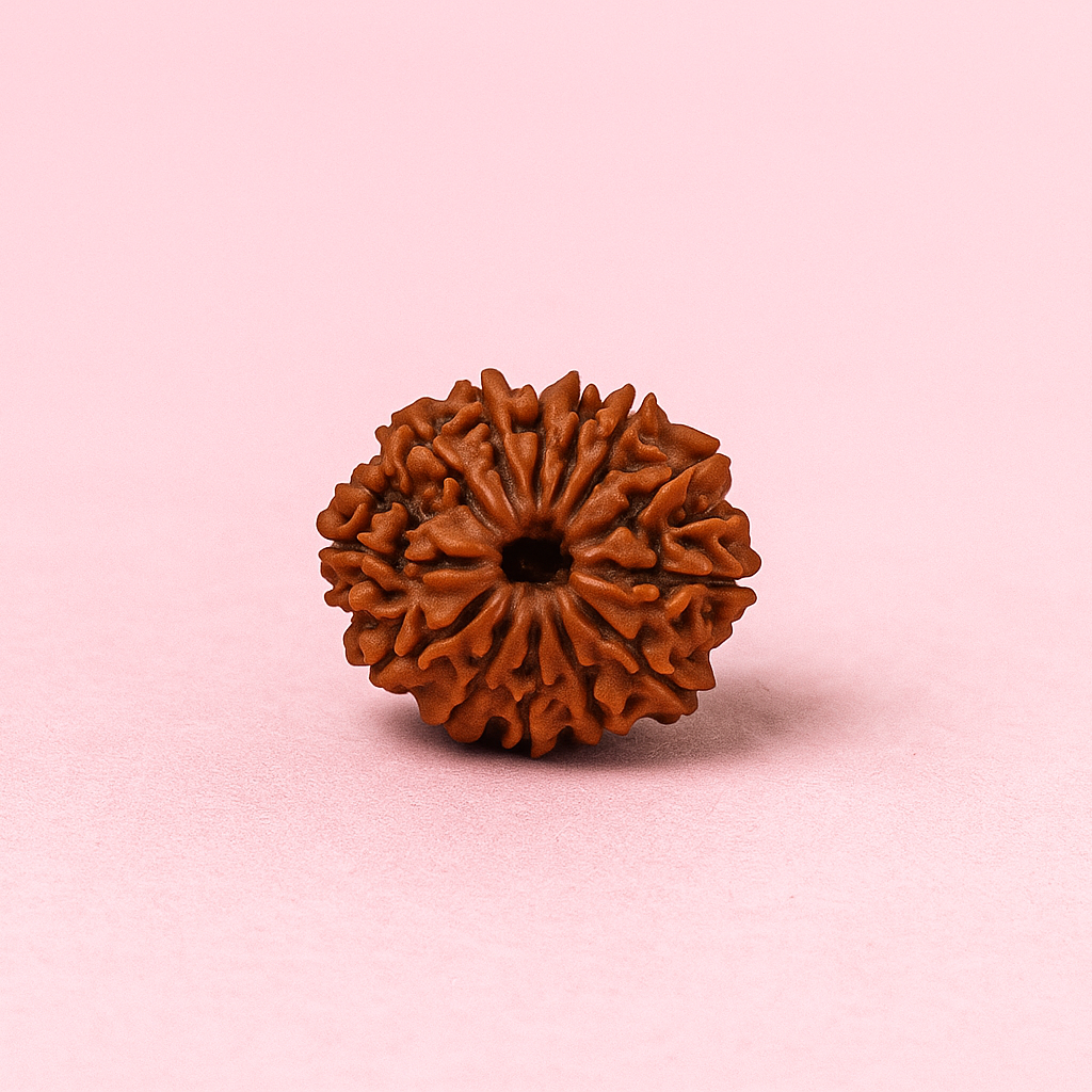 AstroMagnet Indra-Kama Bead (Natural 13 Mukhi Rudraksha)