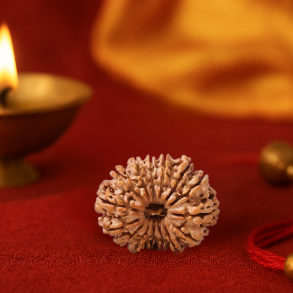 AstroGuardian Divine Jewel (Natural 14 Mukhi Rudraksha)