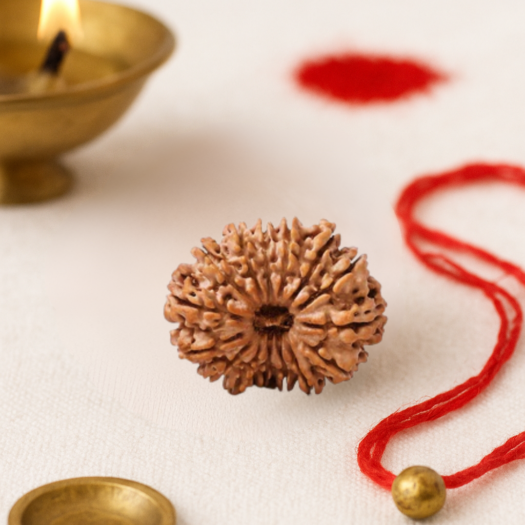 AstroGuardian Divine Jewel (Natural 14 Mukhi Rudraksha)