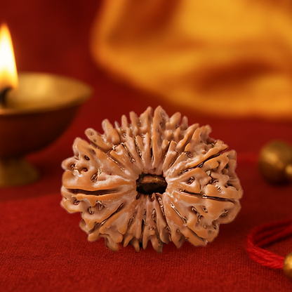 Natural 15 Mukhi Rudraksha (Nepali)