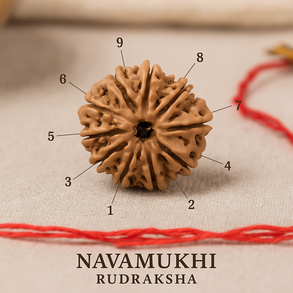 9 Mukhi Rudraksha – Power of Durga, Strength Within