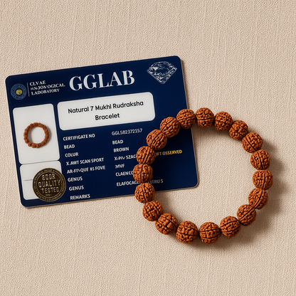 7 Mukhi Rudraksha Bracelet