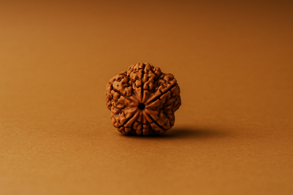 5 Mukhi Rudraksha – Bead of Balance & Spiritual Power