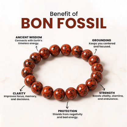 Bon Fossil Bracelet